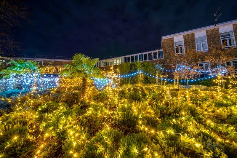 Festival-of-Light-202015.jpg