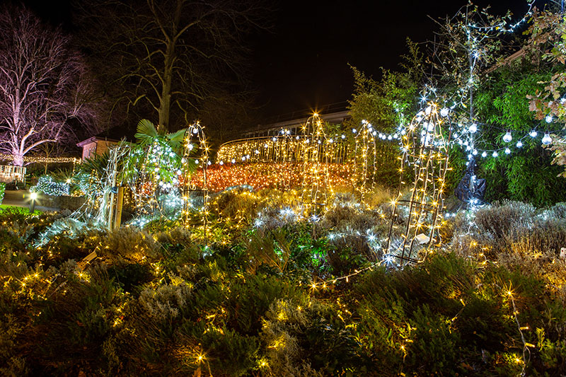 Festival-of-Light-2021035.jpg