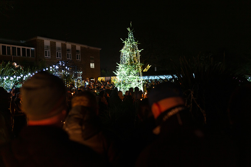 Festival-of-Light-2022074.jpg