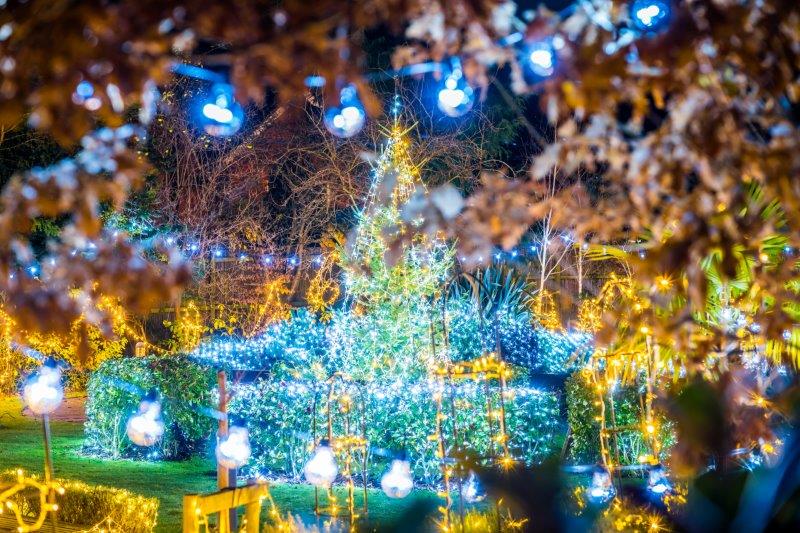 Festival-of-Light-202017.jpg