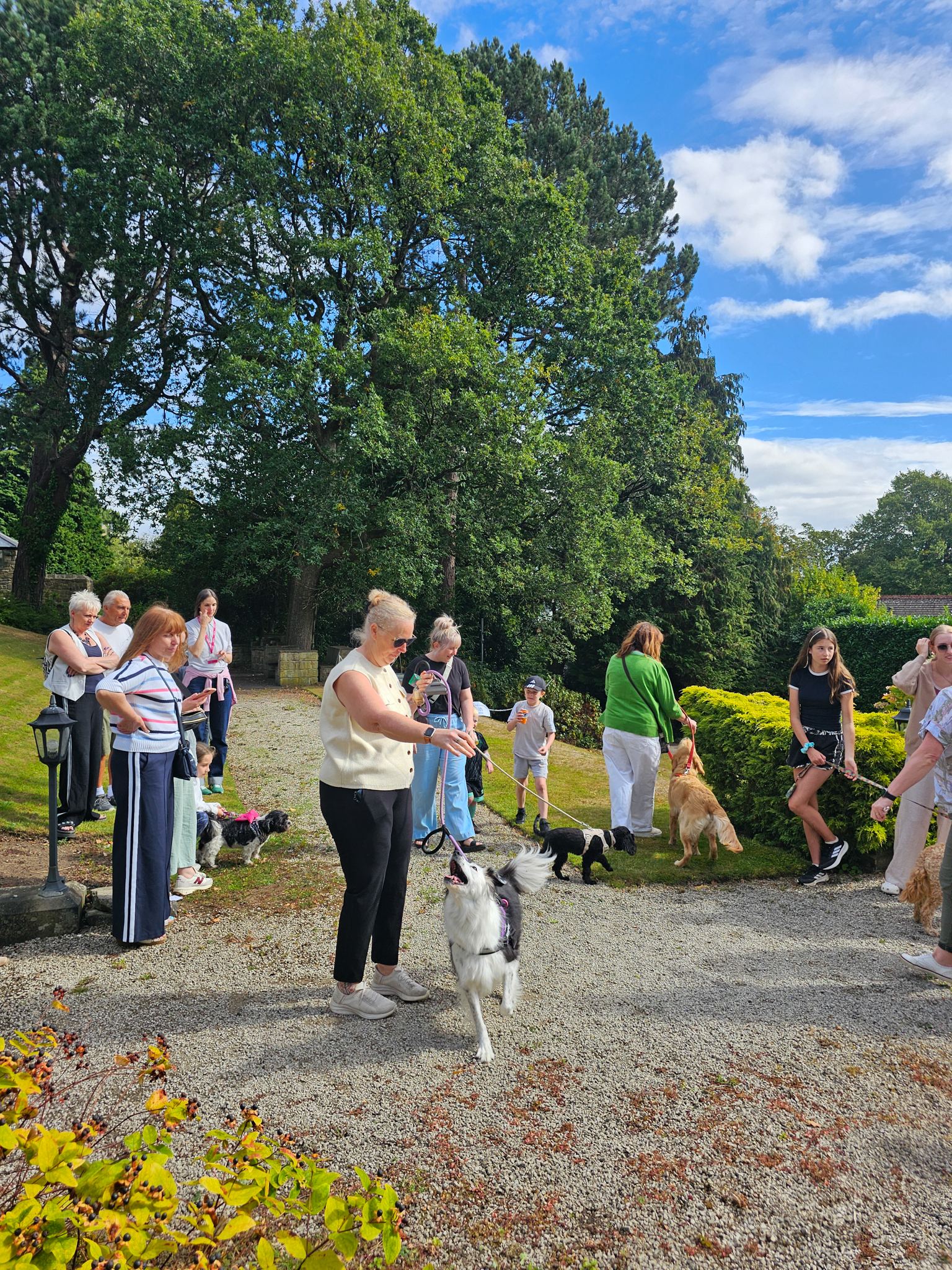 St-Luke's-Summer-Fayre-2025-24f0c89dd2-5986-4607-bbb5-a0e995e087f4.jpg