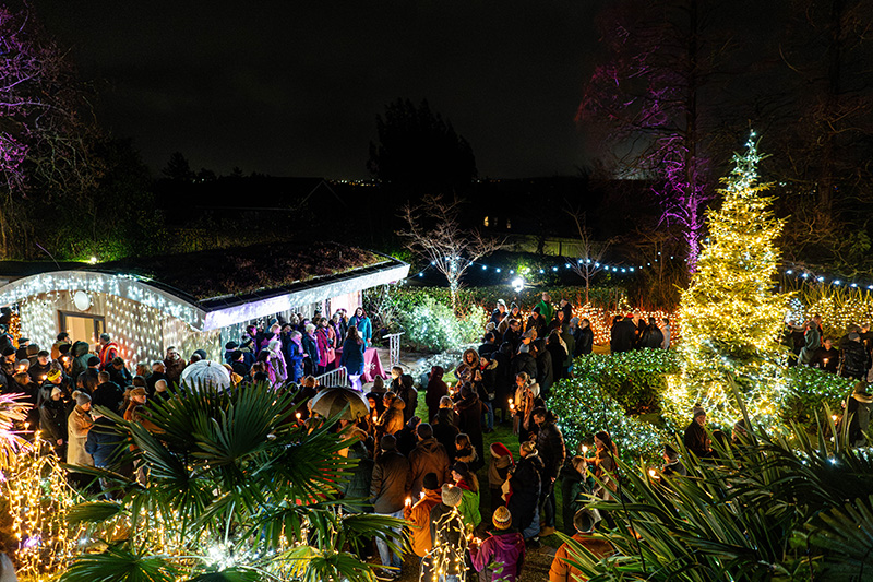 Festival-of-Light-2023121.jpg