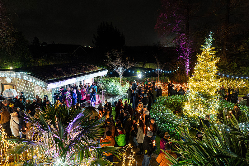 Festival-of-Light-2023118.jpg