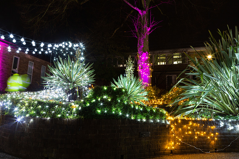 Festival-of-Light-2022107.jpg