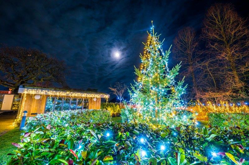 Festival-of-Light-202034.jpg