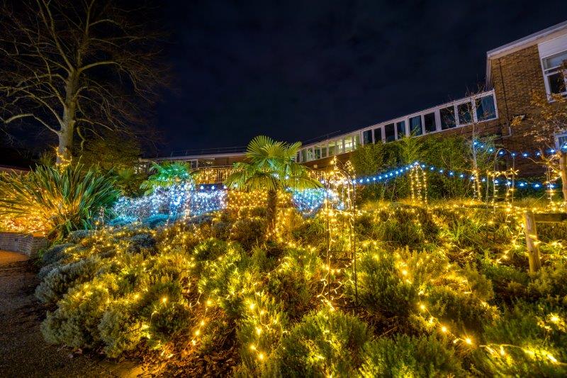 Festival-of-Light-202008.jpg