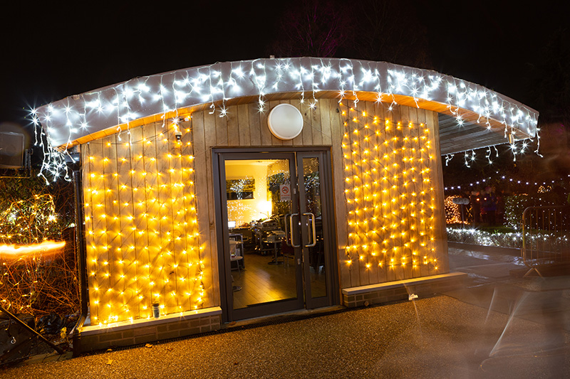 Festival-of-Light-2022112.jpg