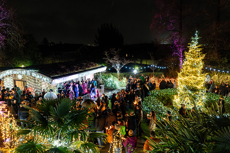 Festival-of-Light-2023114.jpg