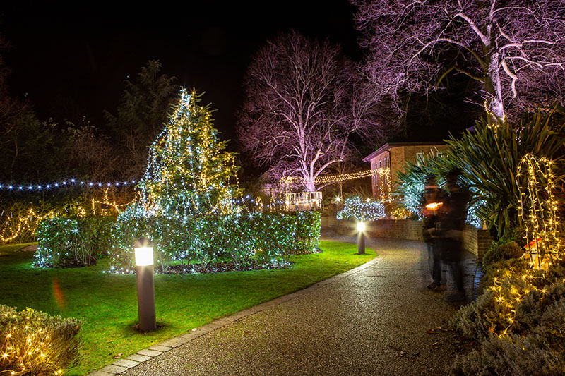 Festival-of-Light-2021023.jpg