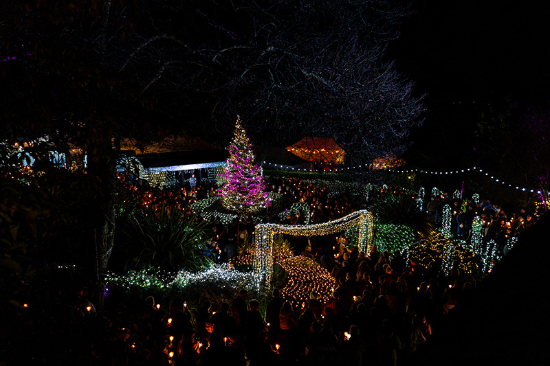 Fundraising_Festival-of-Light-(Resized-Photos)_2024-(131)e1523b07-eed5-40ee-bc92-d1f556a35135.jpg