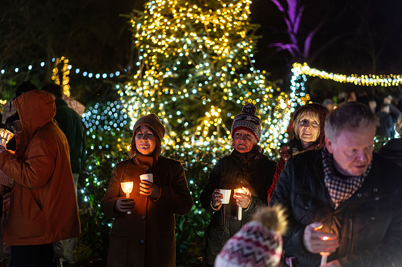 Festival-of-Light-2023159.jpg