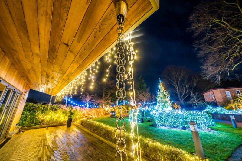 Festival-of-Light-202020.jpg
