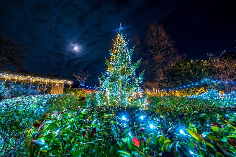 Festival-of-Light-202024.jpg