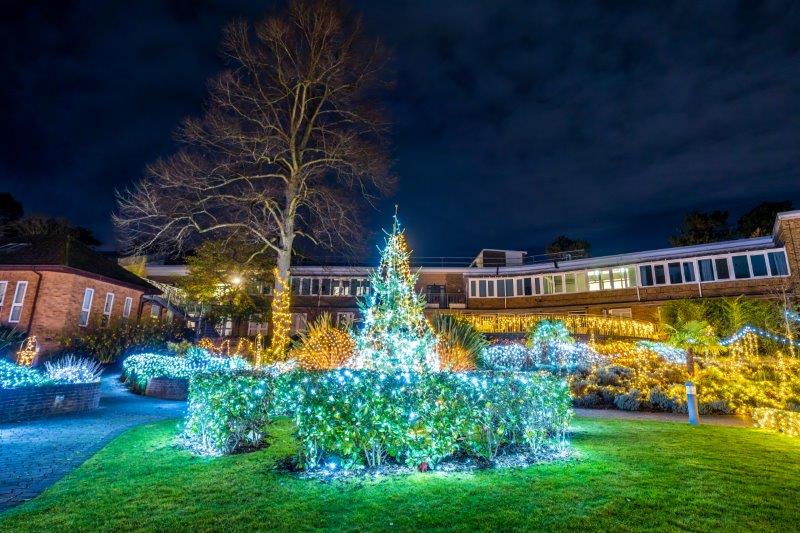 Festival-of-Light-202027.jpg