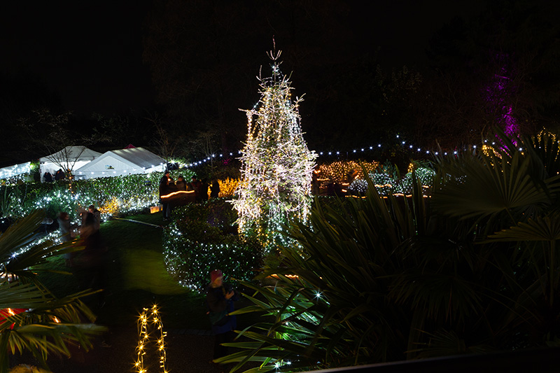 Festival-of-Light-2022111.jpg