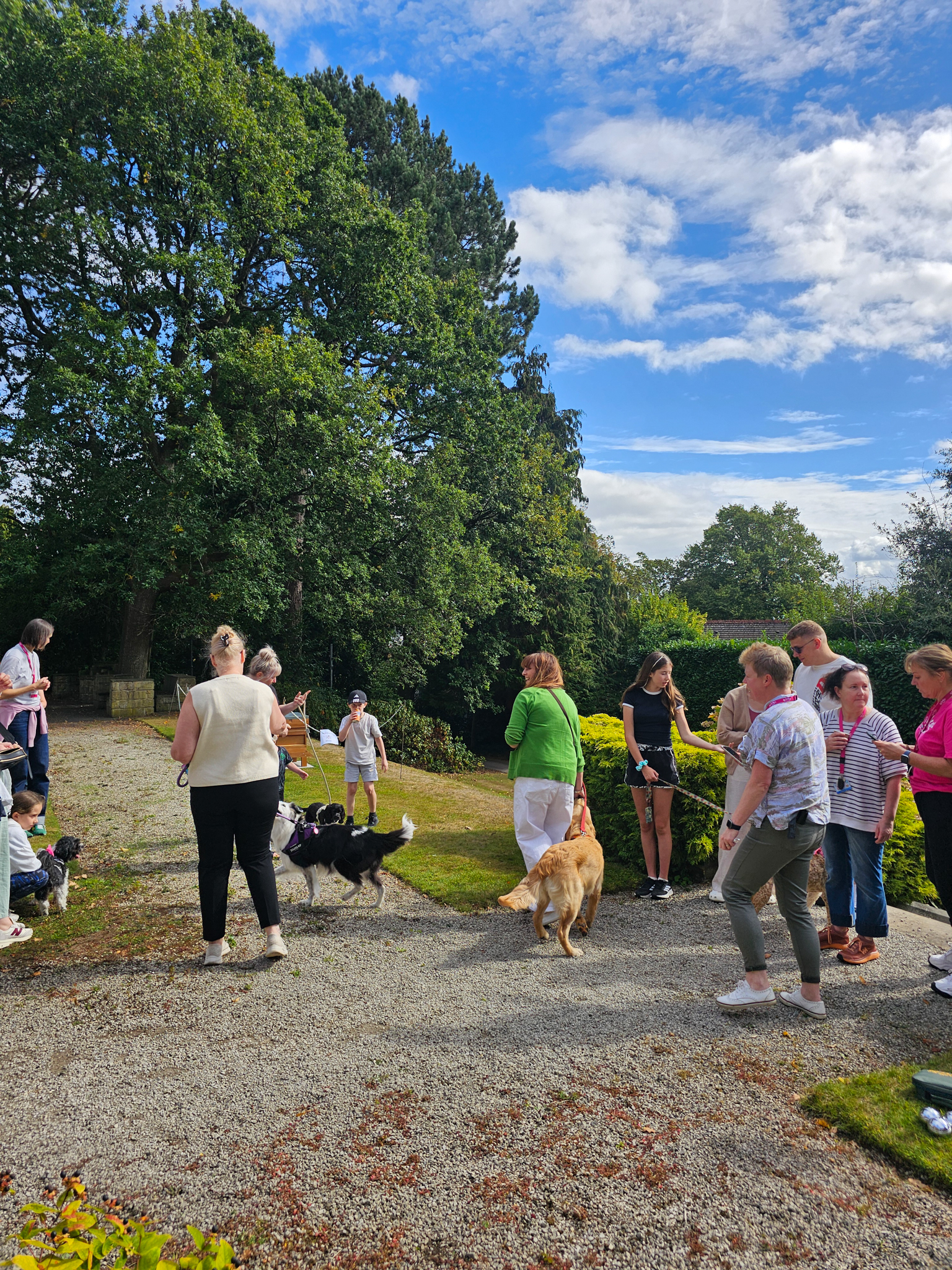 St-Luke's-Summer-Fayre-2025-232ce1d115-0e91-4edf-ba87-748c55e57f0e.jpg