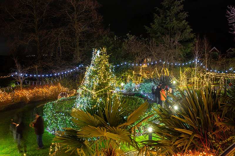 Festival-of-Light-2021026.jpg