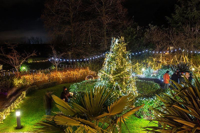 Festival-of-Light-2021025.jpg