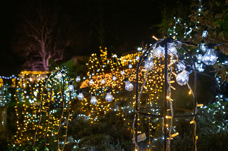 Festival-of-Light-2021002.jpg