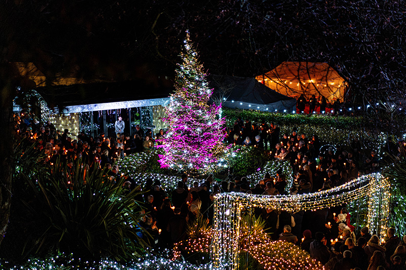 Fundraising_Festival-of-Light-(Resized-Photos)_2024-(135)a02ff86f-22ad-44dc-98e8-81bc03cf6bed.jpg