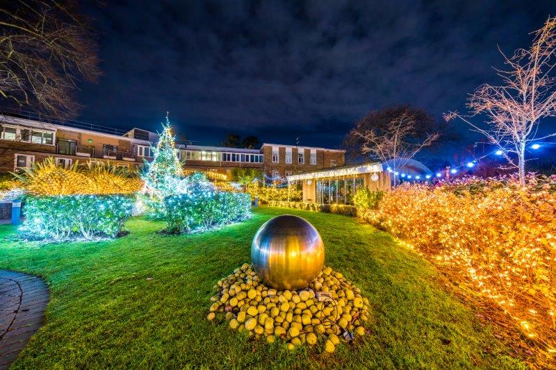Festival-of-Light-202016.jpg