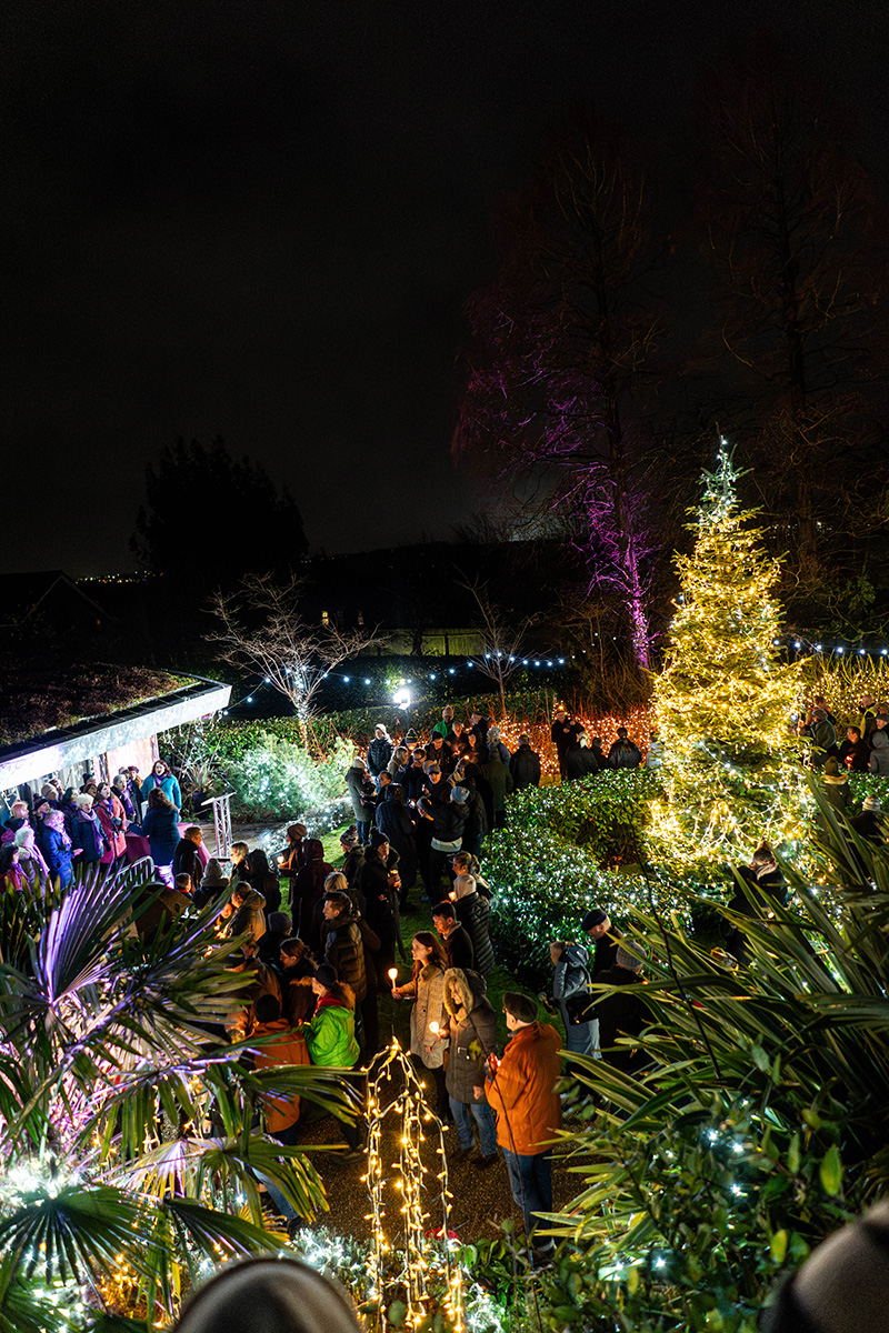 Festival-of-Light-2023106.jpg