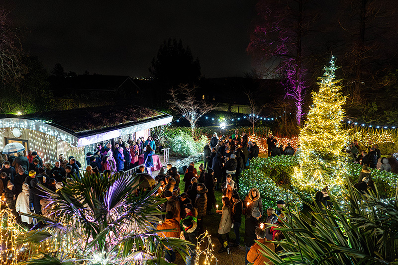 Festival-of-Light-2023104.jpg