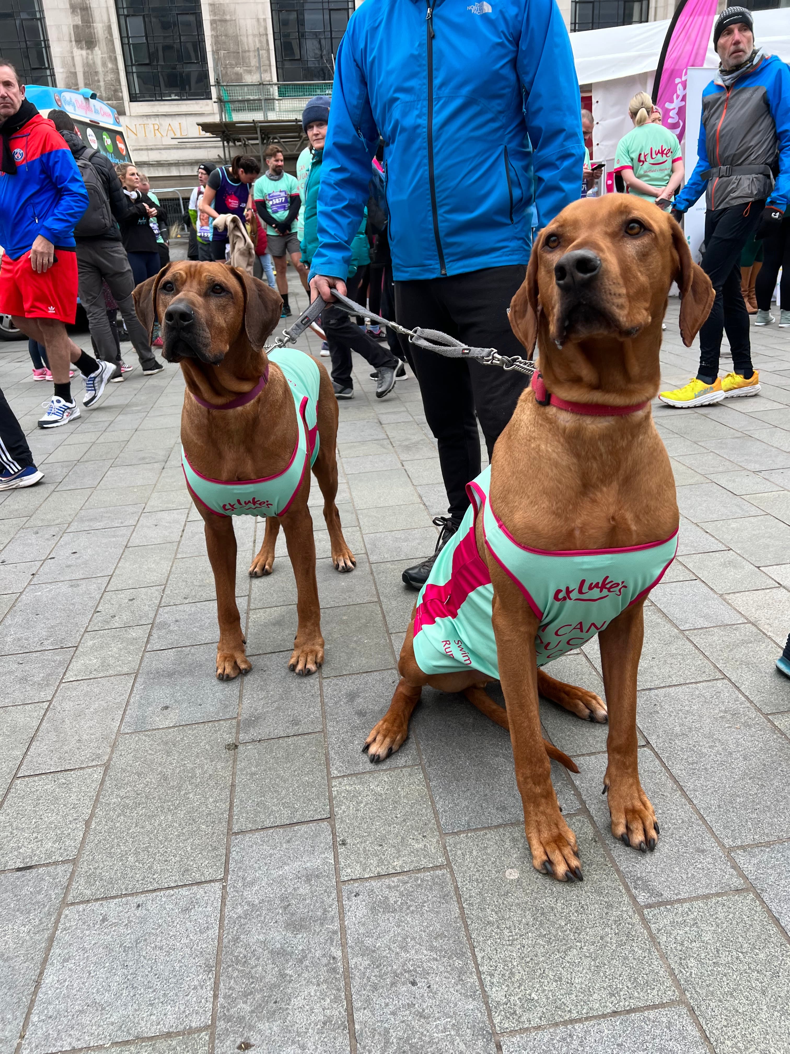Sheffield-Half-Marathon-202341.jpg