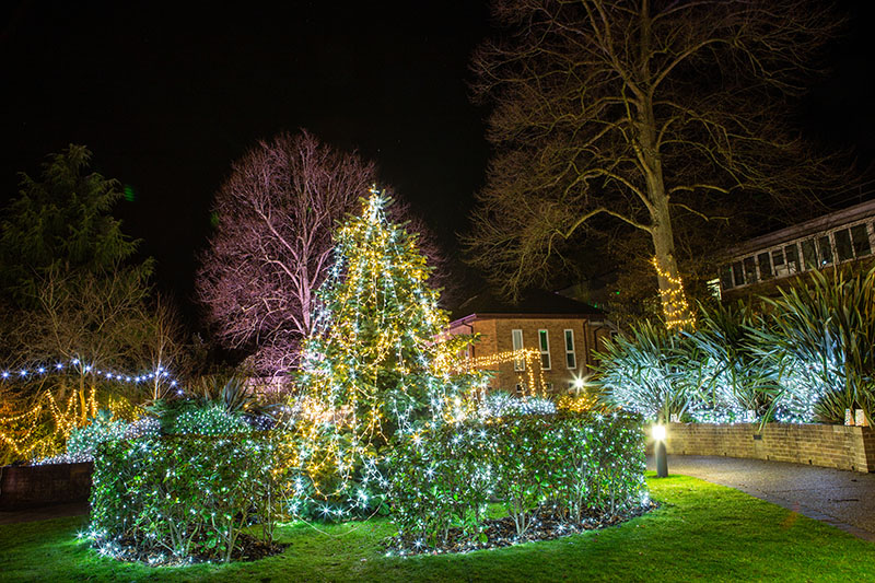 Festival-of-Light-2021027.jpg