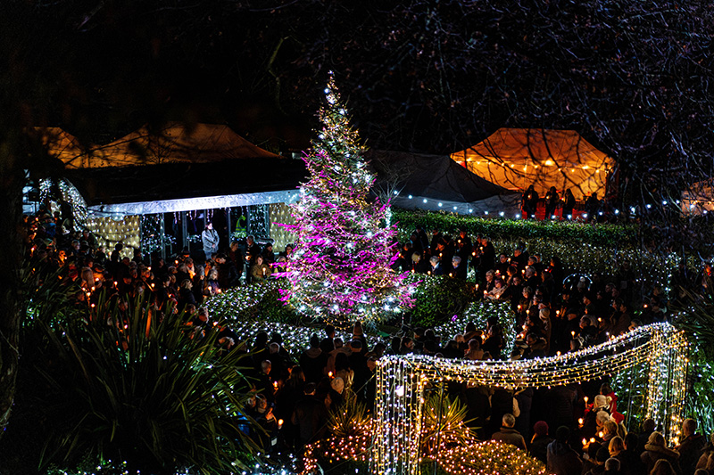 Fundraising_Festival-of-Light-(Resized-Photos)_2024-(134)1264921b-2edb-4454-97c2-1cd6d1d4f970.jpg
