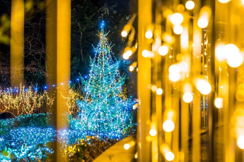 Festival-of-Light-202037.jpg