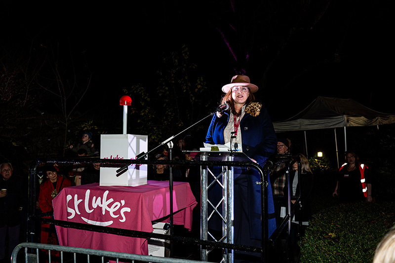 Fundraising_Festival-of-Light-(Resized-Photos)_2024-(100)bfd01957-4e4f-4ec3-a548-b4dba7c1dab3.jpg
