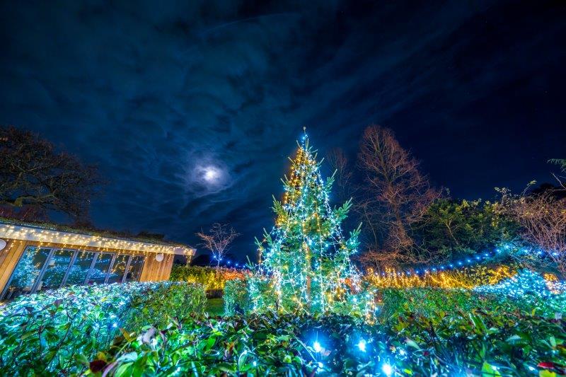 Festival-of-Light-202033.jpg