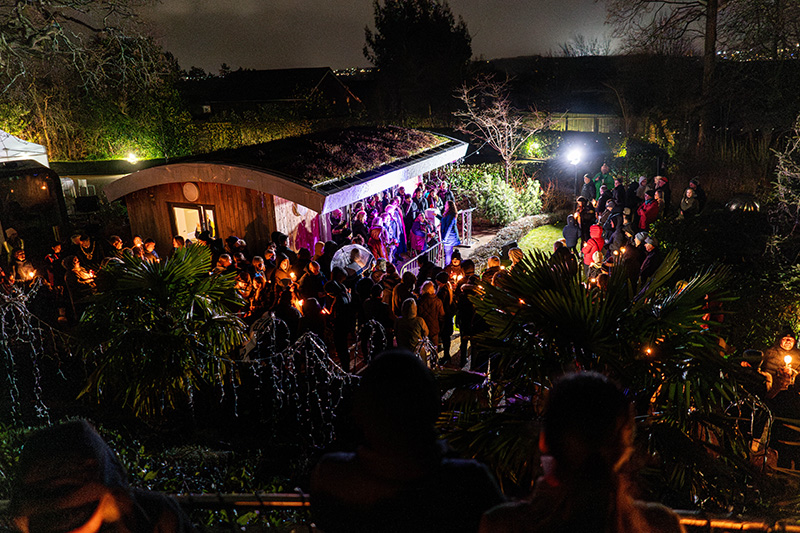 Festival-of-Light-2023061.jpg