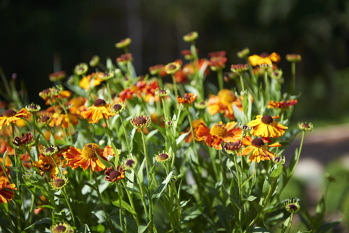 The-hospice-and-grounds08.jpg