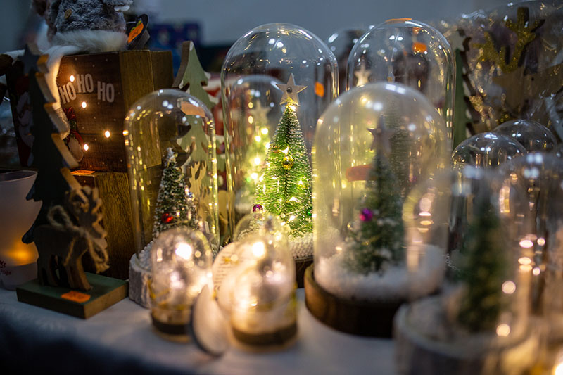Festival-of-Light-2021118.jpg