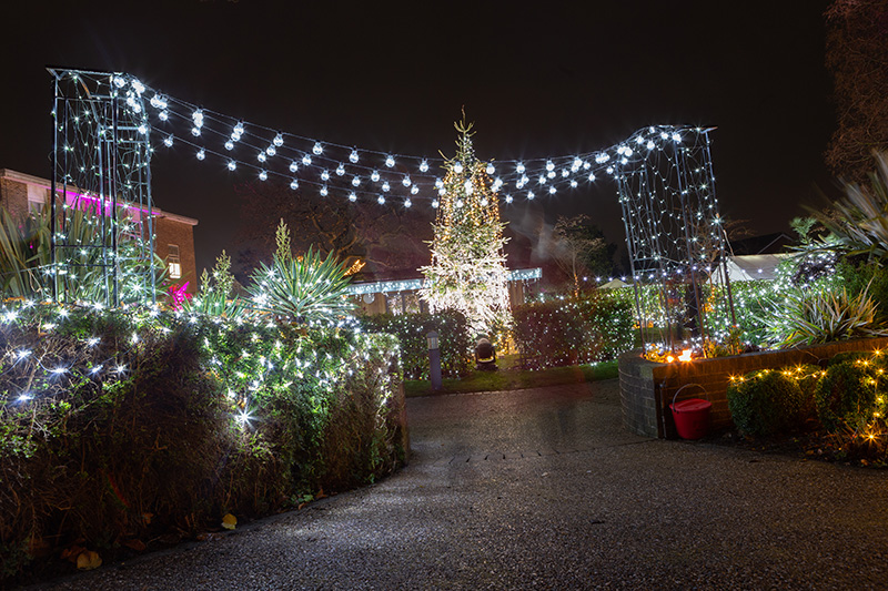 Festival-of-Light-2022101.jpg