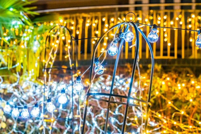 Festival-of-Light-202036.jpg