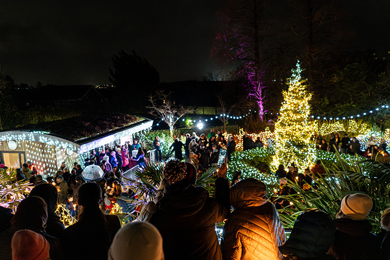 Festival-of-Light-2023117.jpg
