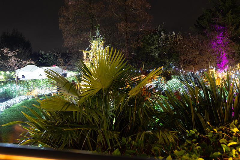 Festival-of-Light-2022106.jpg