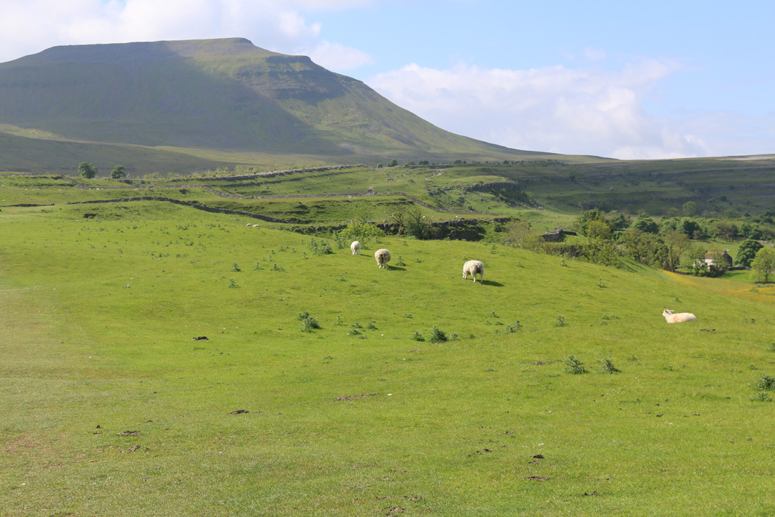 Yorkshire-Three-Peaks-202406.jpg