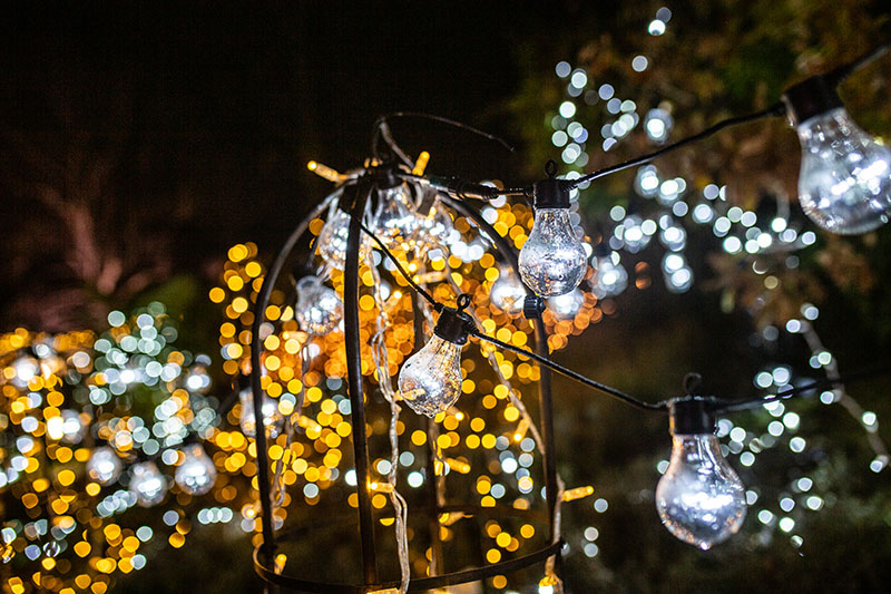 Festival-of-Light-2021011.jpg