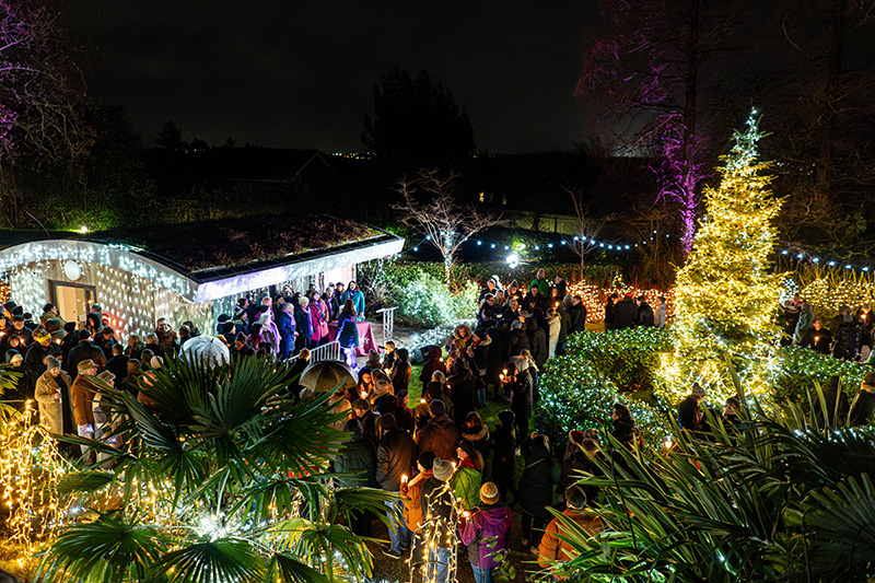 Festival-of-Light-2023109.jpg