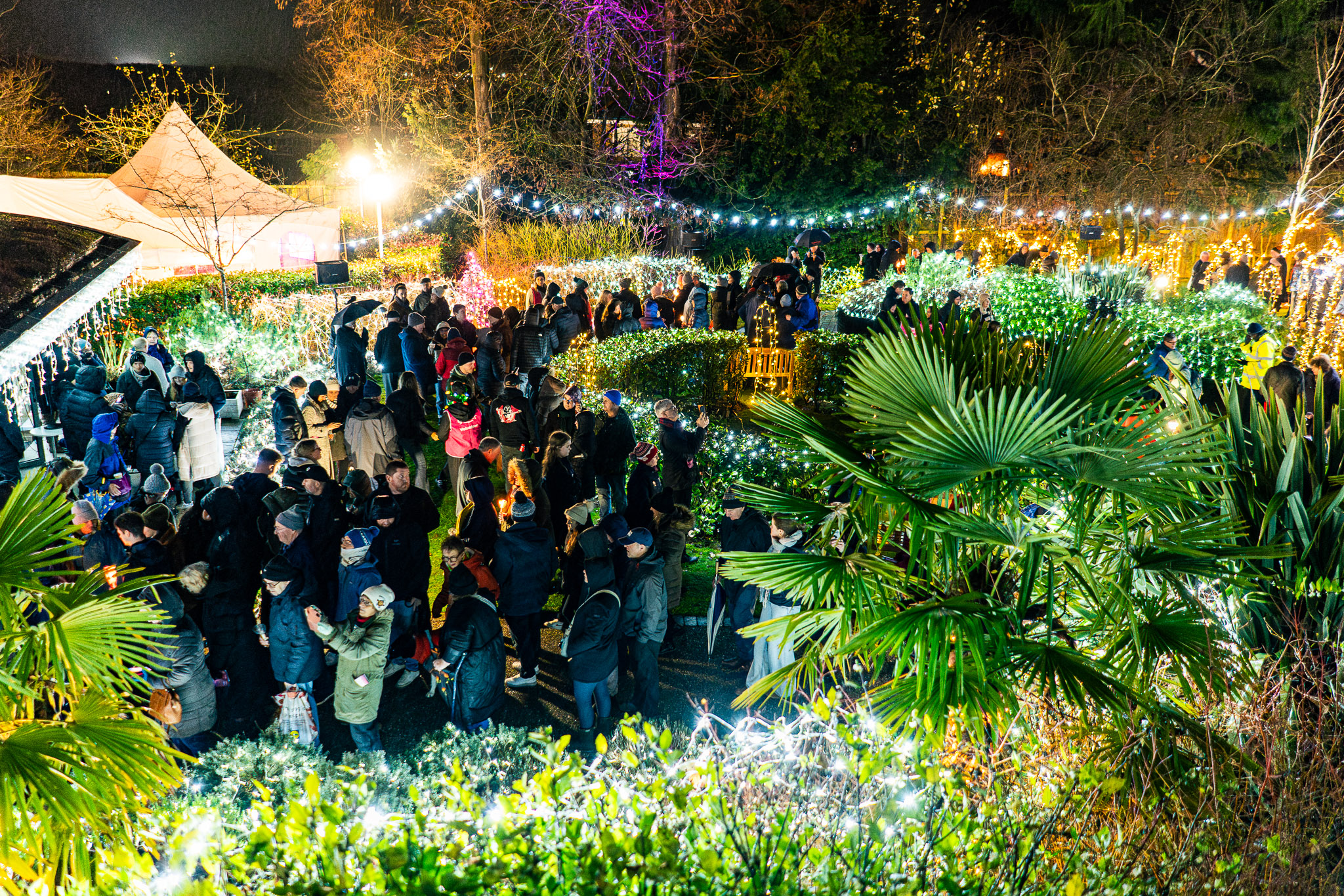 20251207---St-Lukes---Festival-of-Light_LOW_RES-229e7040be1-6382-4a77-b724-f9a3c96bac3a.jpg