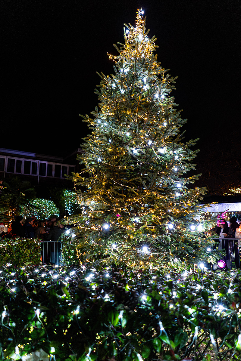 Fundraising_Festival-of-Light-(Resized-Photos)_2024-(149)bf995c78-a0d7-4fde-b7f6-ab7e1d24ec47.jpg