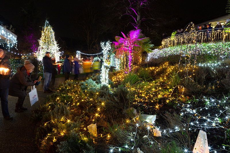 Festival-of-Light-2022115.jpg