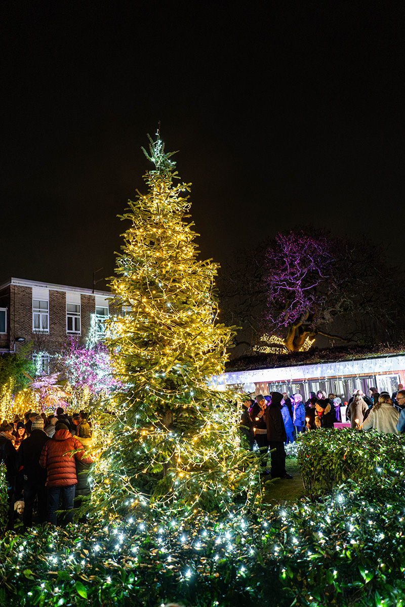 Festival-of-Light-2023103.jpg