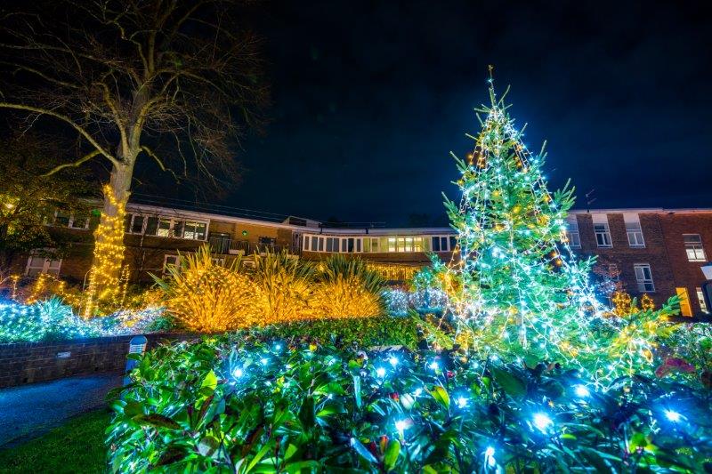 Festival-of-Light-202028.jpg