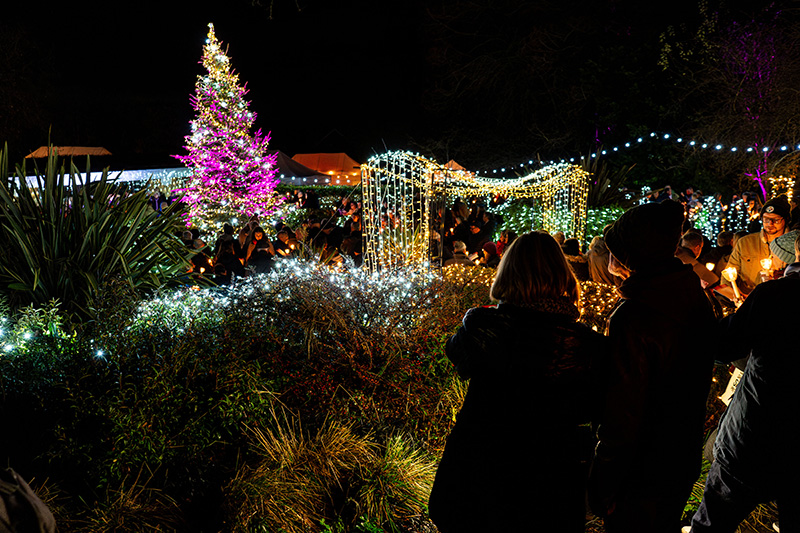 Fundraising_Festival-of-Light-(Resized-Photos)_2024-(143)b2329941-0432-4d36-a555-f7e70761d8dc.jpg