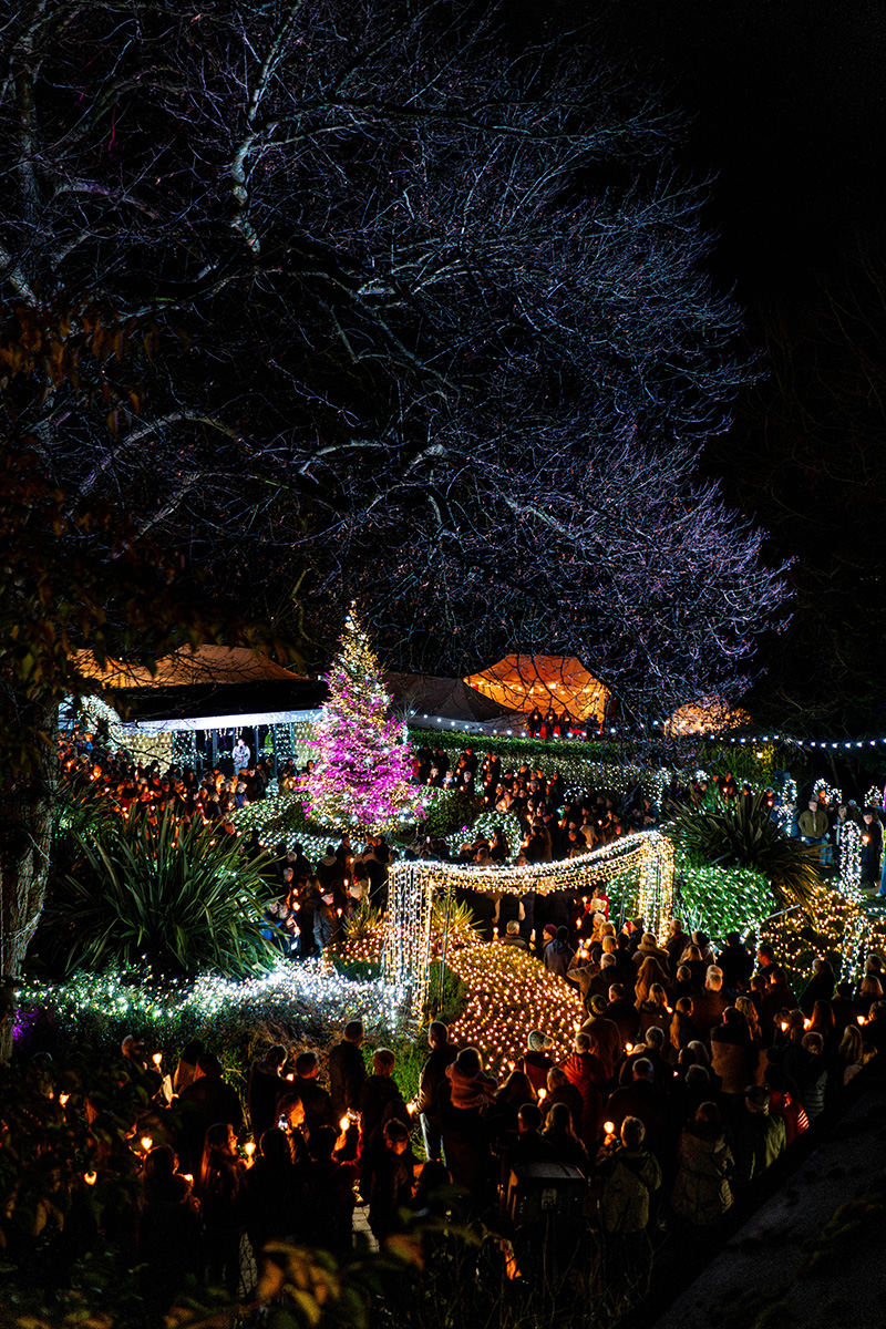 Fundraising_Festival-of-Light-(Resized-Photos)_2024-(130)f96cec16-1585-4f9e-b53e-022bf153d0f5.jpg